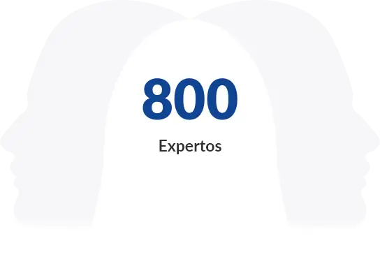 Revisión-800-expertos